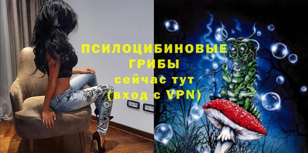 ешки Алексин