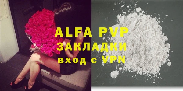 гидра Алзамай