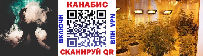 Шишки марихуана THC 21%  Почеп 